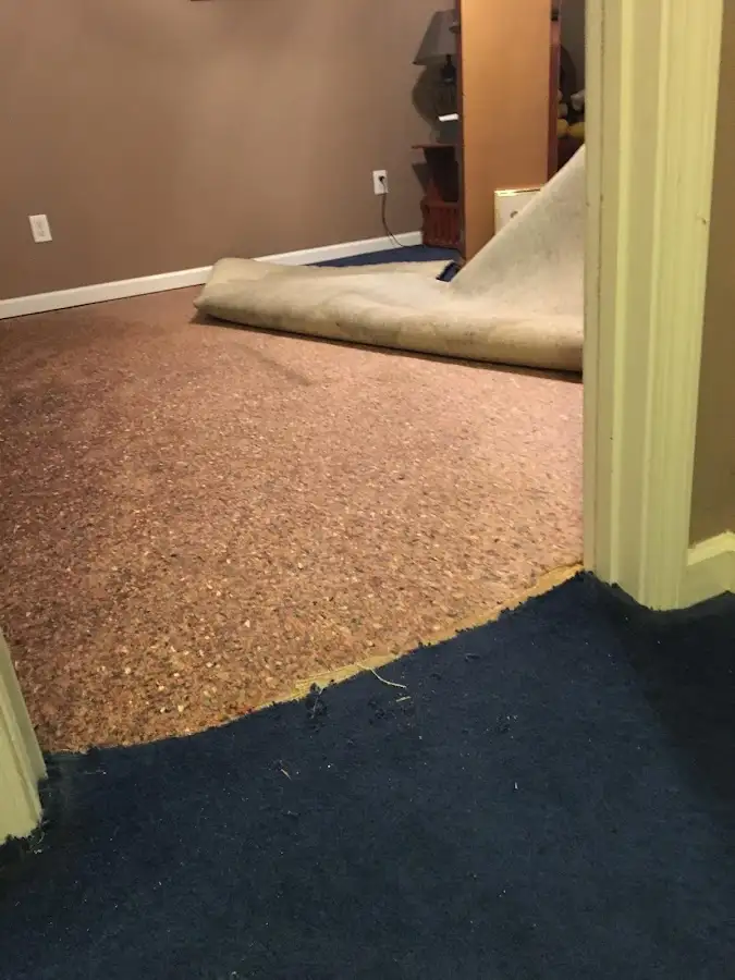 Carpet pad removal revealing water damage during Water Mitigation Services in Wakefield