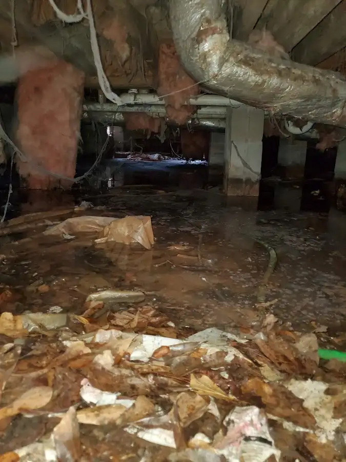 Crawl space flood assessment for Leak Detection & Repair in Wakefield