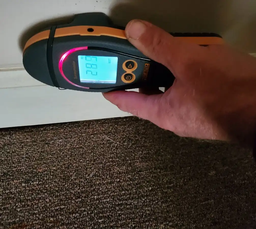 Moisture detection at baseboard during Mold Inspection & Testing in Wakefield